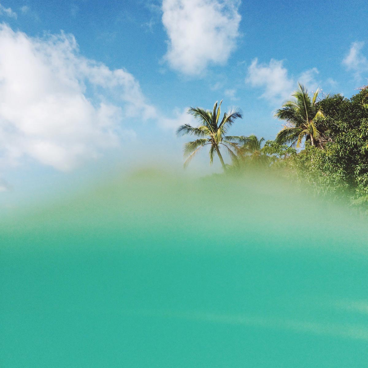 Adrienne Pitts photo of tropical scene cut off by water in front of camera