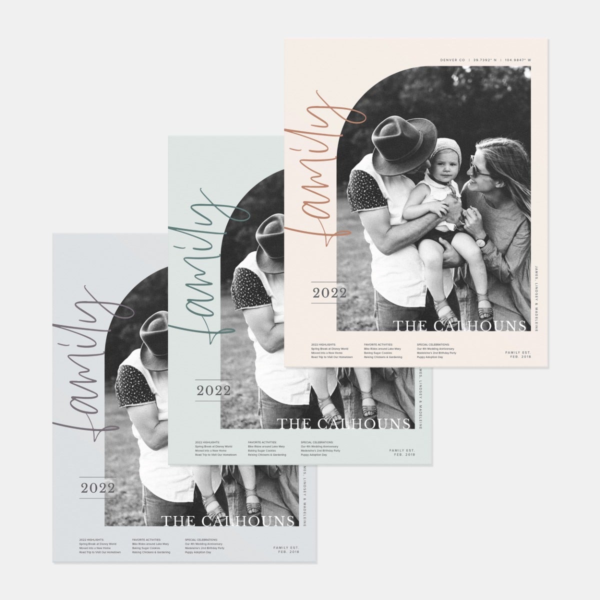 Family Highlights Poster Print