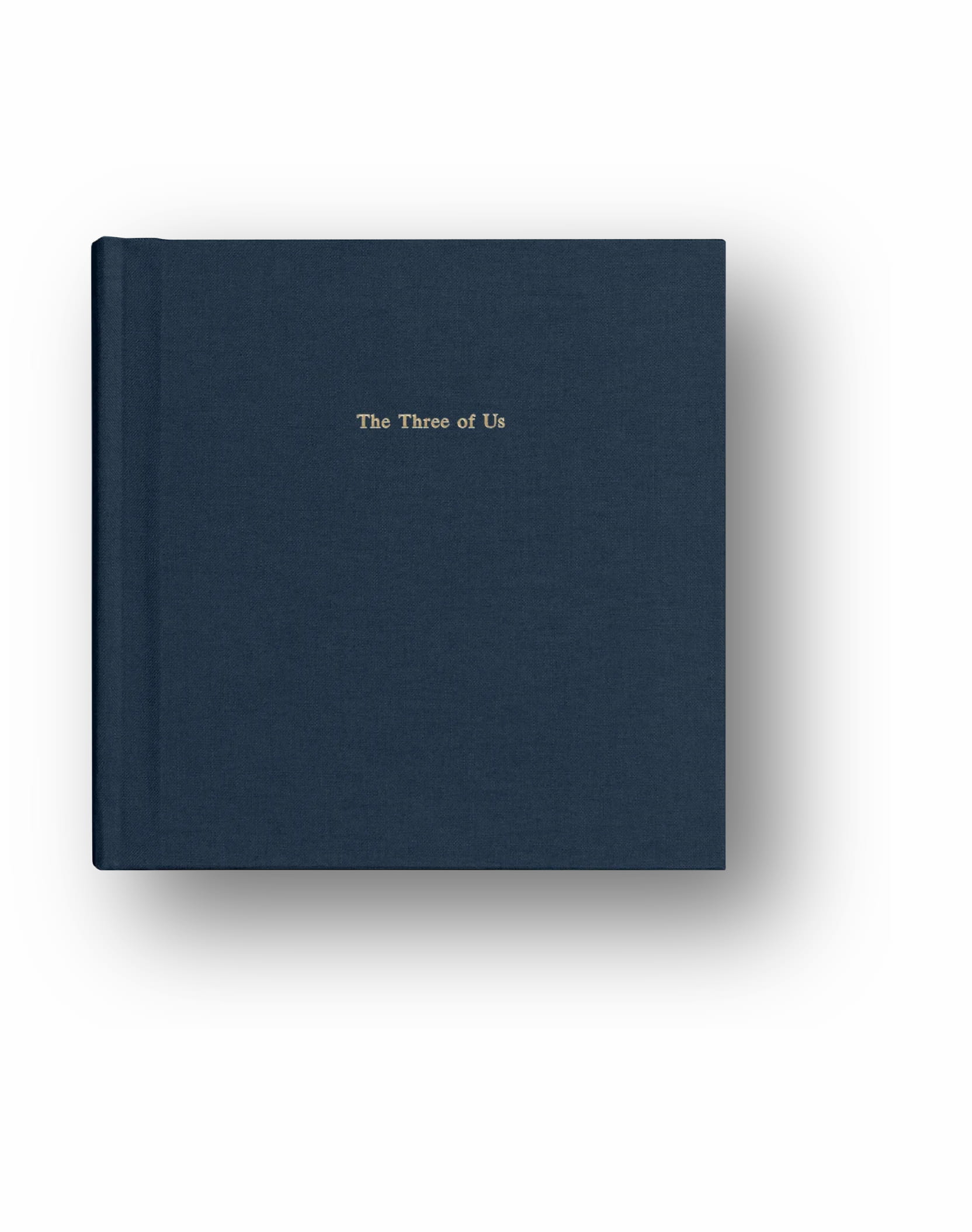 Everyday photo book showcasing gold foil stamped title of the three of us