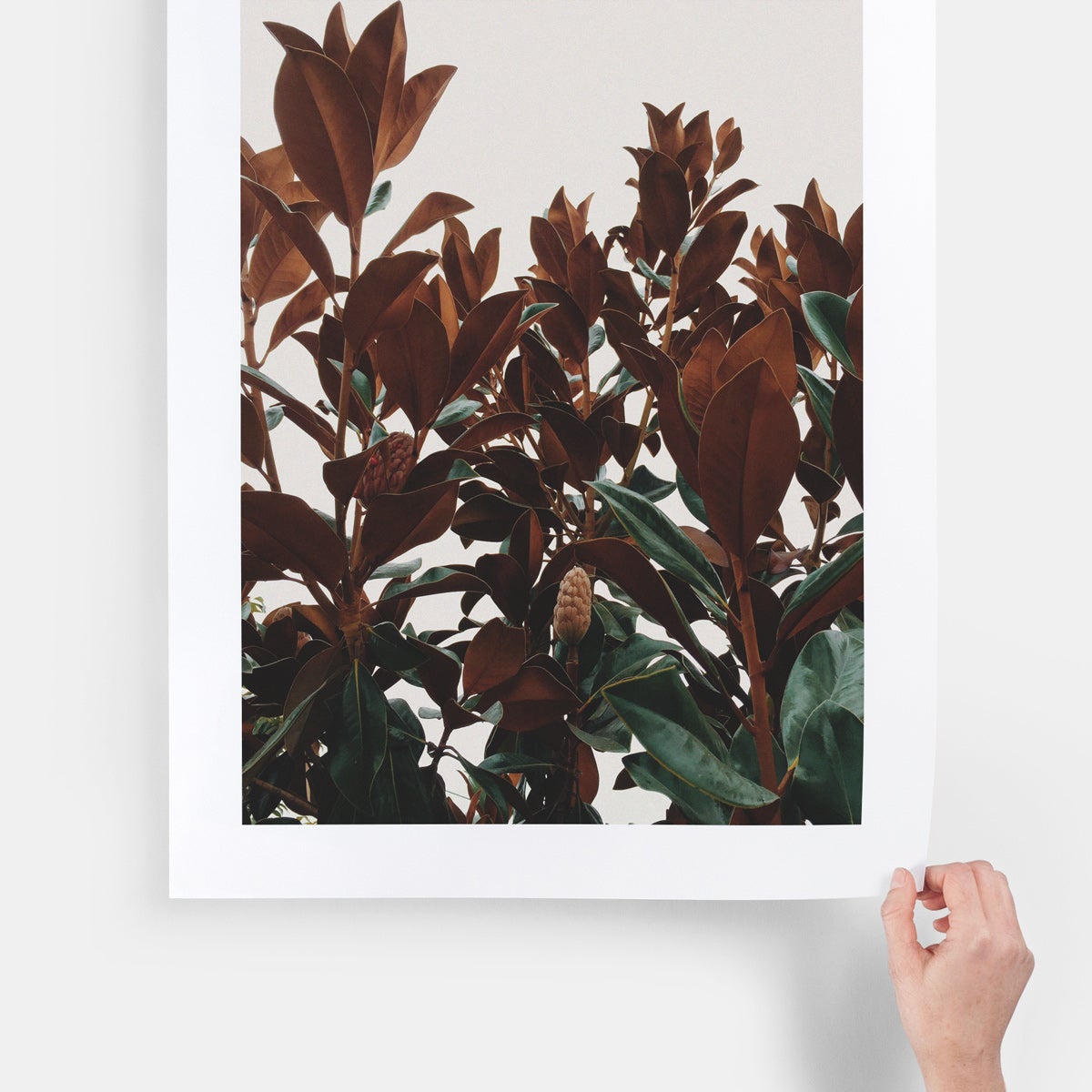 Large Format Prints