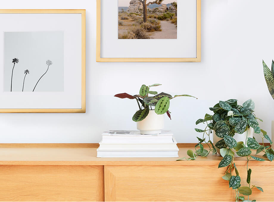 Framed photos of father and daughter on dresser