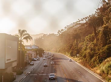 Edited photo of highway lined by palm trees